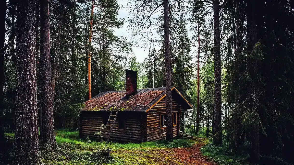 En liten timmerstuga med plåttak och skorsten i en tallskog.